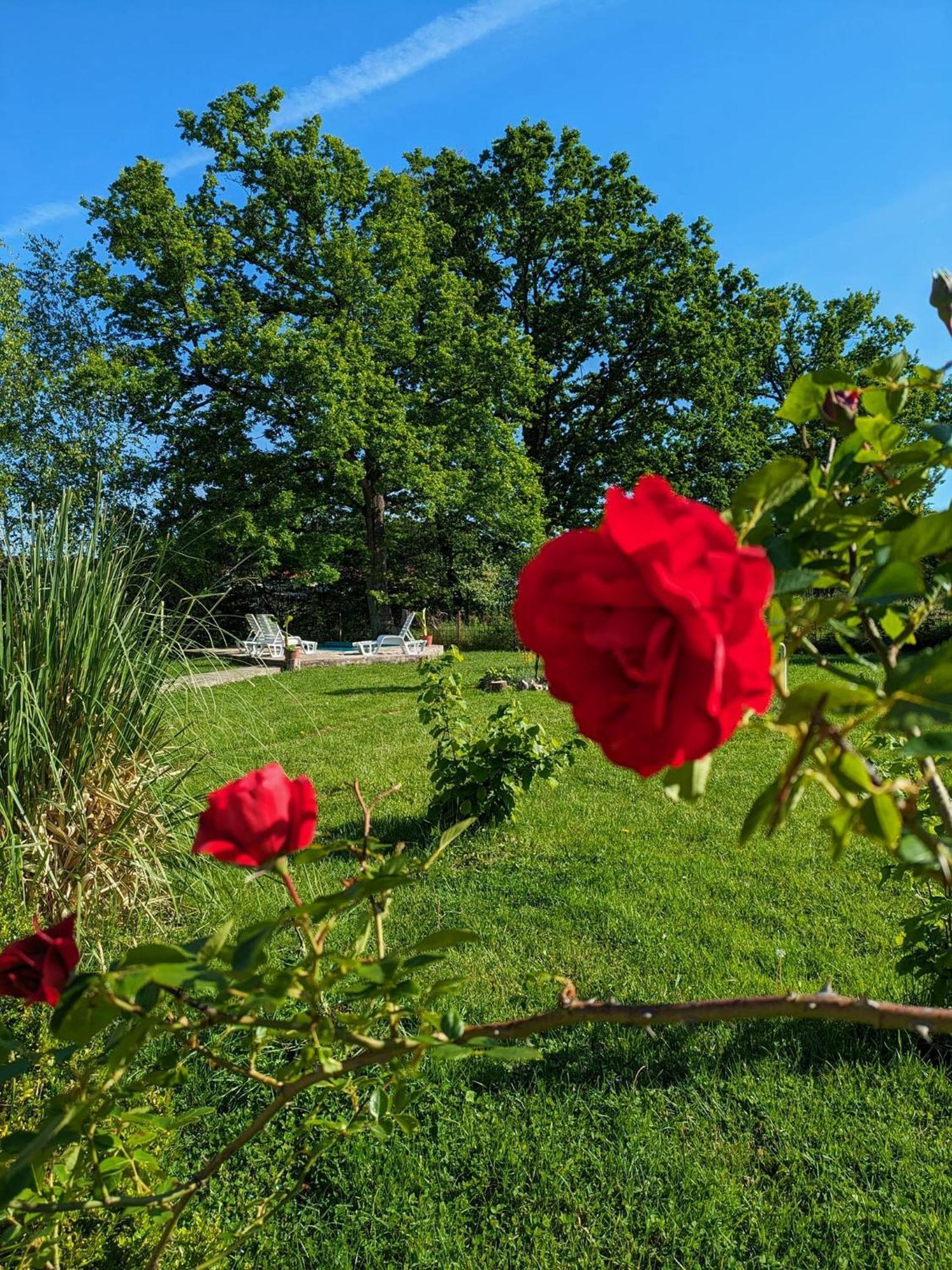 Vacation Home Keskic Velika Gata Екстер'єр фото